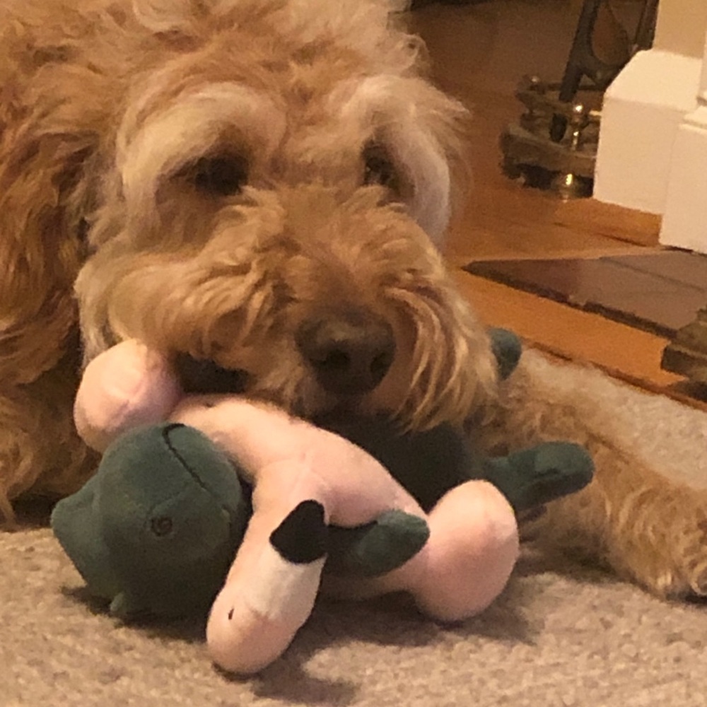 Meet your Posher, Mary alice